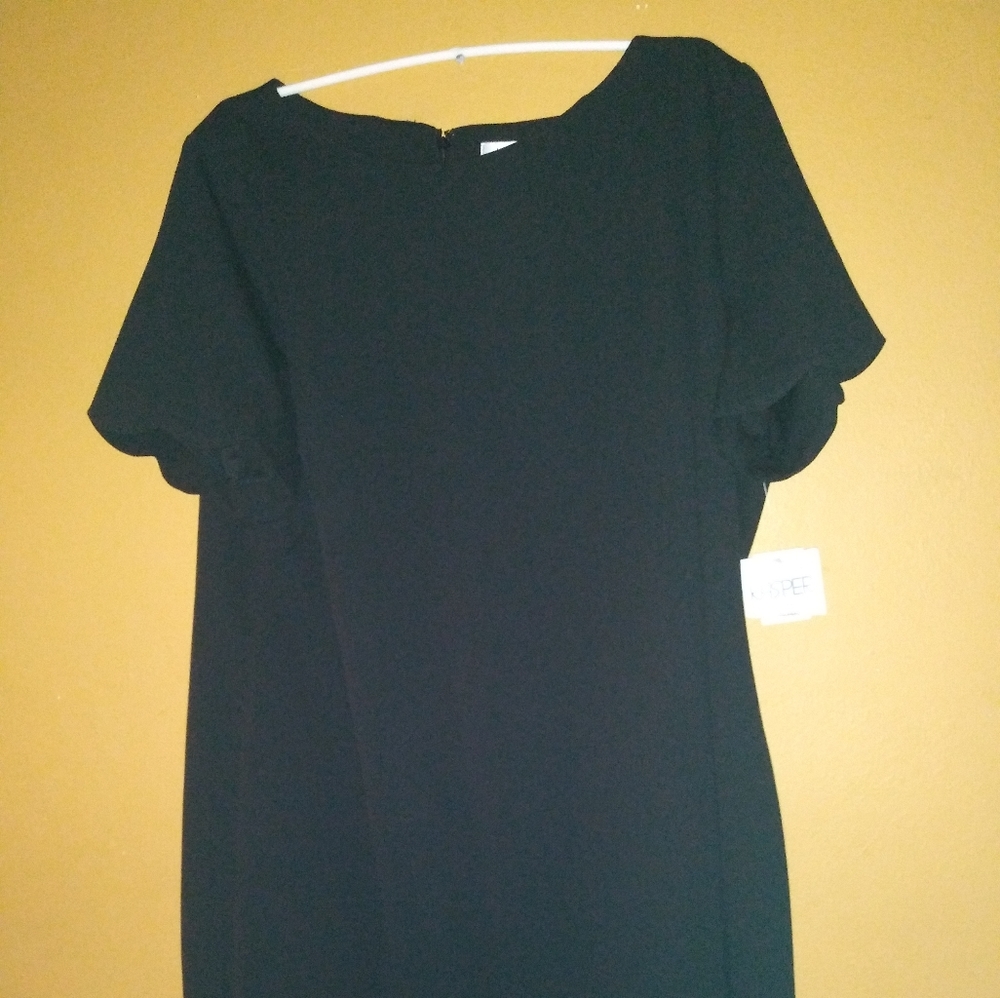 NWT Kasper dress